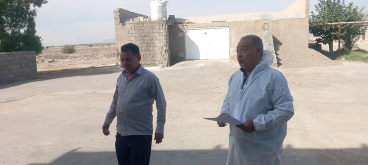 بازدید از واحدهای پرورش مرغ گوشتی در شهرستان حاجی آباد 